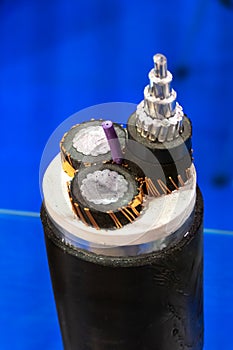 Sample of multi-core cable with protected wires