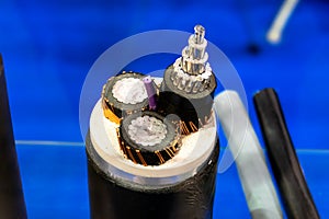 Sample of multi-core cable with protected wires