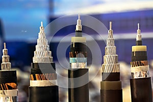 Sample of multi-core cable with protected wires