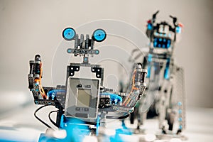 sample of a robot and a dinosaur from a robotic constructor