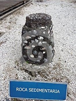Sample sedimentary rock (roca sedimentaria) in the open-air museum, Chiloe Island Patagonia. Chile photo