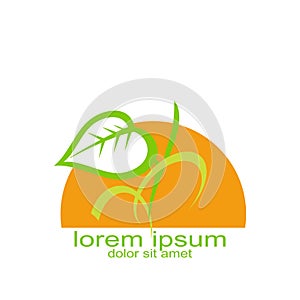 Sample sun leaf logo graphic resources