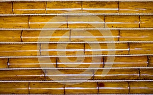 Sample wall of house with log house