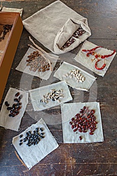 Samples of Beans