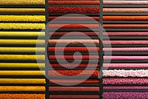 Samples of carpets of different colors on a stand in a store or production. Multi-colored carpet samples on the floor