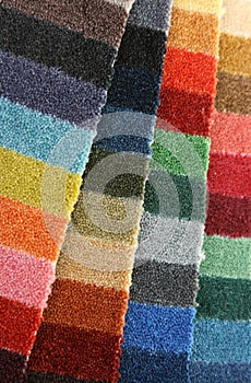 Samples of color of a carpet covering