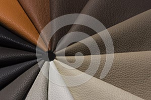 Samples of colored leather arranged composition