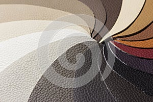 Samples of leather arranged in the circle composition