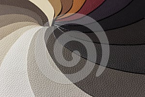 Samples of leather arranged in the circle composition