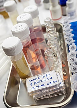 Samples contaminated by Clostridium botulinum toxin that causes botulism in humans, laboratory research