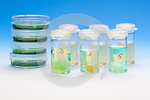 Samples in plastic vials for microscopy and biopsy tissue.