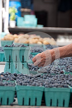 Sampling Blueberries at Farmer's Market