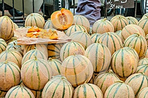 Sampling honey dew melon, at St Remy farmers market