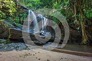 Samrongkiat Waterfall Arboretum in dry evergreen forest.