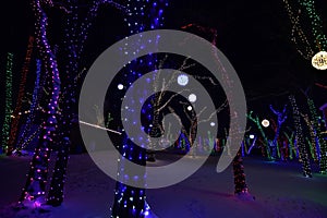 Sams Christmas Village Somerset Wisconsin light Display 900 trees illuminated in the park