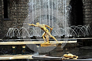 Samson Fountain,Peterhof Palace, Russia, Russia