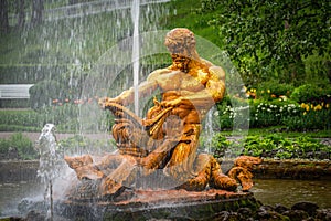 Samson and Leo fountain andother fountains in Peterhof