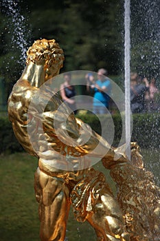 Samson tears the mouth of a lion. Samson Fountain on a summer sunny day, close-up. Peterhof