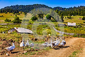 Samtskhe Javakheti Georgia Europe landmark