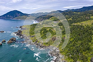 Samuel Boardman scenic corridor near Brookings, Oregon, USA