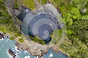 Samuel Boardman scenic corridor near Brookings, Oregon, USA