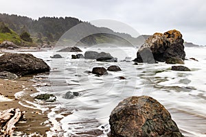 Samuel H Boardman State Park, Oregon, West Coast, United States of America, Travel USA, outdoor, adventure, landscape, rain forest