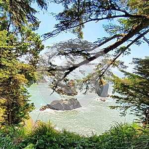 Samuel H Boardman State Scenic Corridor Brookings Oregon