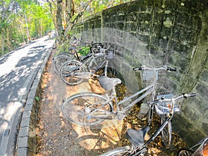 Samut prakan, Thailand - January 04 2020: Bicycle parking at Bang Nam Phueng Floating Market at Bang Krachao