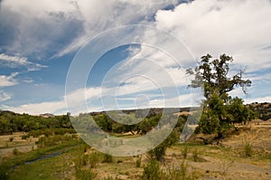 San Andreas Fault in farmland photo