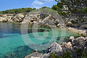 San antoni, ibiza island photo