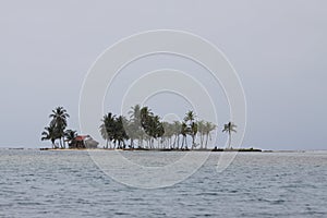 San Blas Islands Home and Palm Trees