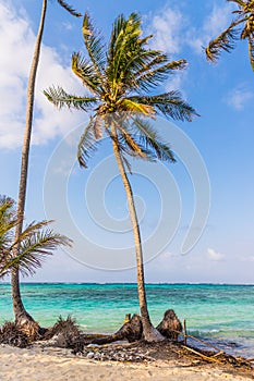 San Blas islands in Panama