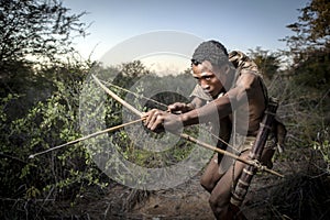 San Bushmen hunting