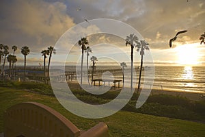 San Clemente Pier after a storm with Sea Gulls