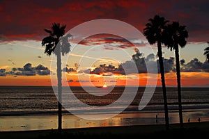 San Clemente Sunset with Palm Trees