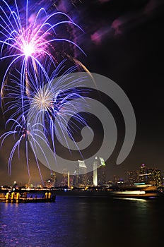 Bahía fuegos artificiales 