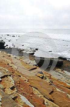 San Diego Coast Tidepools