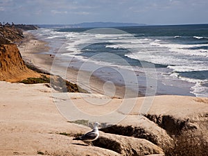 San Diego County beaches