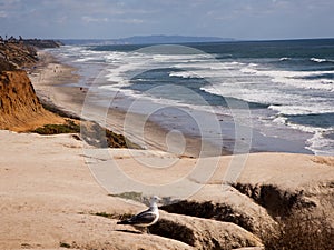 San Diego County beaches photo