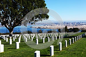 San Diego with Fort Rosecrans National Cemetary in front photo