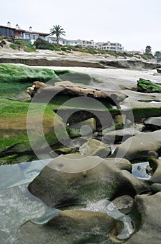 San Diego La Jolla Rocky Coast