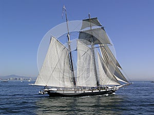 San Diego ocean sailboat