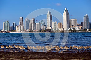 San Diego skyline at sunset, CA