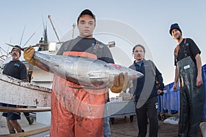 SAN DIEGO, USA - NOVEMBER 17, 2015 - fishing boat unloading tuna at sunrise