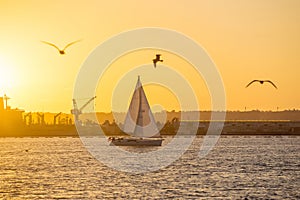 San Diego Waterfront Public Park, Marina and the San Diego Skyline. California, United States.