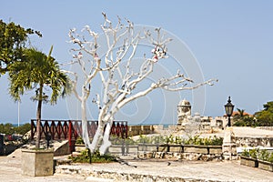 San Felipe de Barajas castle photo