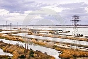 San Francisco bay marshes and waterways, Sunnyvale, California