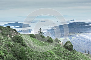 San Francisco Bay from Mount Tamalpais East Peak.