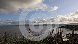 San Francisco bay from Point San Bruno