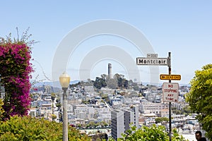 View of Coit Tower on a beautiful sunny day from the top of Lombard Street and Montclair Terrace